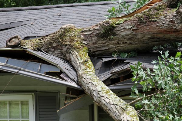 Storm Remediation Service in Pleasant Grove