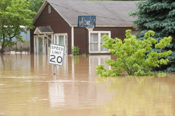 Storm Restoration Service in Pleasant Grove