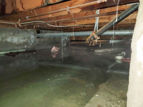 Water Mitigation Service in Pleasant Grove